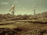 WakeRiser.gif (7.71 MB) Wake Riser