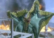 Pestar 22.jpg (28 KB)