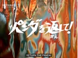 Return the Panda!