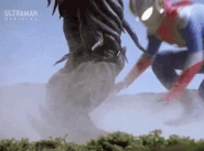 EclipseHighestSwing.gif (7.68 MB) Highest Swing