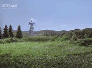 ZarangaRushBellyRam.gif (6.09 MB) Rush and Belly Ram
