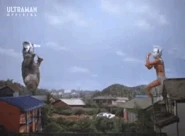 King Bracelet Barrier.gif (4.61 MB) Barrier