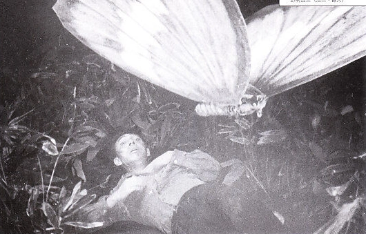 Man, Matter, morphosis アアルト/タピオヴァーラ Man, Matter, morphosis アアルト/タピオヴァーラ CDJapan