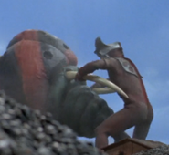 Dont leo.png (163 KB)