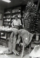 Peter and Bemular's Suit