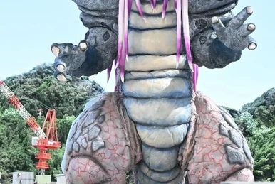 小池美波　直筆サイン　Tシャツ　W-KEYAKI FES 2022 W-KEYAKI FES. 2022」FC限定Tシャツ販売のお知らせ | ニュース