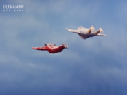 Flight