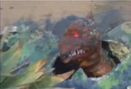 Gelan hatchling