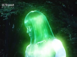 Physical appearances