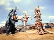 Shishimanda.jpg (18 KB)