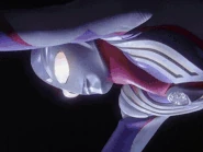 TigaFlashingAttack.gif (6.72 MB) Flashing Attack