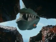 Torara-Izenborg-May-2020-15.jpg (232 KB)