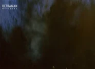 DolbaBurrowing.jpg (37 KB) Burrowing