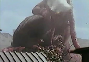 123889896586316325153 L4705.jpg (30 KB)