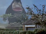 Pakki appears at a village.