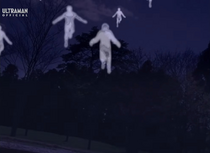 Bizom Disguise.png