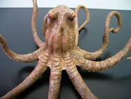 Sudar X-Plus.jpg (14 KB)