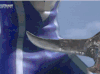 AgulBleed.gif