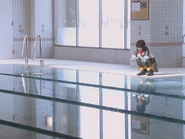 Private Swimming Pool