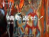 Give the Pigeon Back!