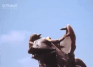 GIF 20240912 091701 569.gif (4.06 MB) Slime Stream