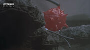 Red Sphere Corrupt.jpg