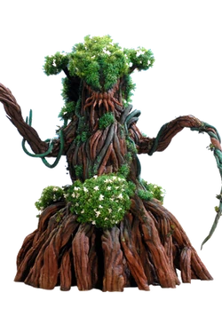 Sorichraa transparent