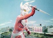 Taro Lance.jpg (97 KB)