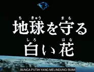 Siri Karya Rakyat Jepun - Bunga Putih yang Melindungi Bumi