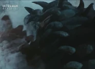 SmokeNessShell.jpg (51 KB) Shell