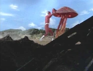 Fireman vs. Kinokurages