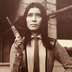 Akiko Fuji (Ultraman F) | Ultraman Wiki | Fandom