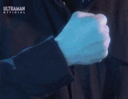 TsurugiRiseFull.gif (9.88 MB)