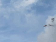 Flight