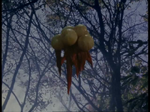MagniasParasitesEp22.png