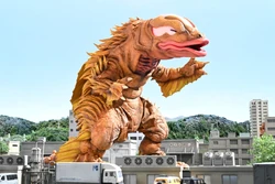 oceanic operetta アシレーヌ マスコット 2019年 モンタレー湾」 Monterey Bay 「モンタレー湾」水槽で暮らす