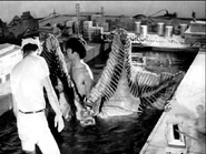 PESTAR-SCENES.jpg (54 KB)