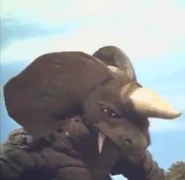 Dorigorus.jpg (8 KB)