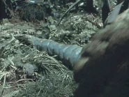 Punch-Down Tail