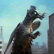 Chameleking.jpg (8 KB)