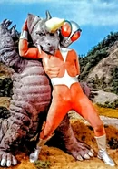 DORIGORUS-2.jpg (234 KB)