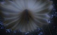 Giant alien flowers