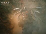 King-Zaiger-Mirrorman-September-2021-05.jpg (76 KB)