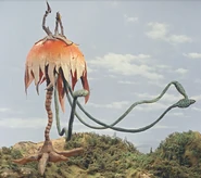 Univerlages-1.png (240 KB)