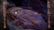 Red Smogy as seen in Ultraman Retsuden Episode 100.jpg