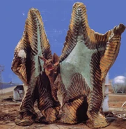 Pestar-1.jpg (81 KB)