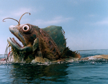 巨大魚 Angoras | Ultraman Wiki | Fandom