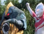 Imitation Zoffy.jpg (75 KB)