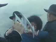 SulpherKama.png (410 KB) Kama