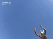 TaroDivingPunch.gif (8.41 MB) Diving Punch